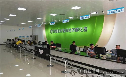 貴港市 多元發展 推動村級集體經濟擴量提質增效