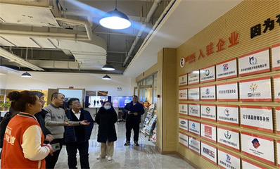 省級創業孵化示范基地評審組來丹考評創業孵化基地